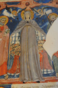 particolare di miniatura matricola